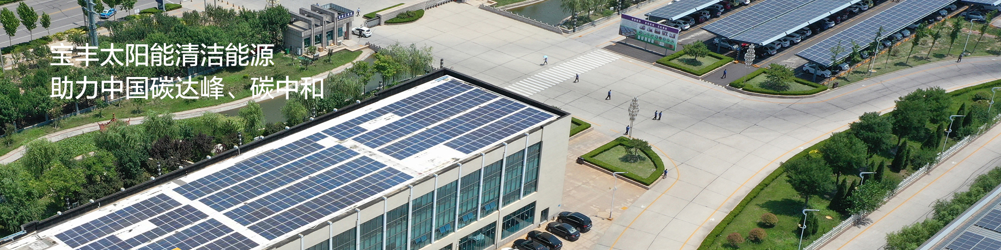 中文字幕av久久波多野结